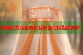 暗网免费版全解析及安全使用指南详解
