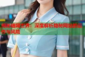 揭秘暗网世界：深度解析隐秘网站的运作与风险