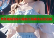 黄色暗网揭秘与隐秘交易黑市全景透视