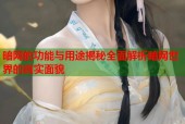 暗网的功能与用途揭秘全面解析暗网世界的真实面貌