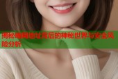 揭秘暗网地址背后的神秘世界与安全风险分析