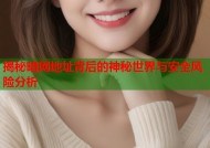 揭秘暗网地址背后的神秘世界与安全风险分析