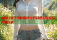 暗网红房子揭秘黑暗世界背后的秘密与真相探索