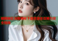 暗网禁区深度揭秘下载资源全攻略与安全指南