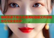 暗网资源下载全攻略揭秘隐藏文件获取技巧与安全防护
