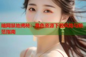 暗网禁地揭秘：黄色资源下载风险与防范指南