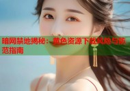 暗网禁地揭秘：黄色资源下载风险与防范指南