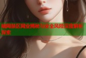 暗网禁区网业揭秘与安全风险深度解析探索