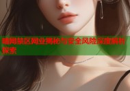暗网禁区网业揭秘与安全风险深度解析探索