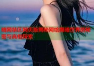 暗网禁区网页版揭秘网络黑暗世界的秘密与真相探索