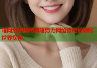 暗网组织揭秘黑暗势力网络背后的隐秘世界探索
