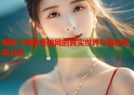 揭秘十禁免费暗网的真实世界与潜在风险分析
