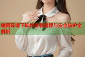 暗网环境下软件安装流程与安全防护全解析