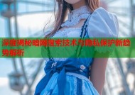 深度揭秘暗网搜索技术与隐私保护新趋势解析