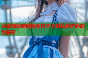 深度揭秘暗网搜索技术与隐私保护新趋势解析