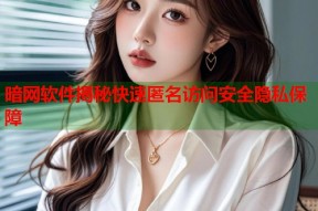 暗网软件揭秘快速匿名访问安全隐私保障