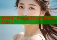 暗网资源下载全攻略揭秘安全便捷的方法与技巧