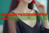 暗网禁区揭秘下禁背后的隐秘世界与安全挑战
