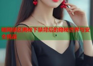 暗网禁区揭秘下禁背后的隐秘世界与安全挑战