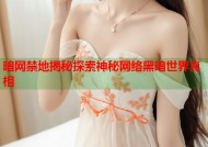 暗网禁地揭秘探索神秘网络黑暗世界真相