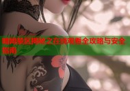 暗网禁区揭秘之在线观看全攻略与安全指南