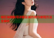 暗区禁网账号详解及其作用与使用方法全解析