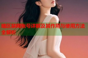 暗区禁网账号详解及其作用与使用方法全解析