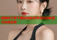 暗网柿子殿下揭秘神秘世界背后的秘密与真相探索