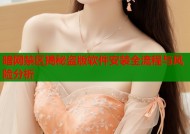 暗网禁区揭秘盗版软件安装全流程与风险分析
