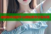 暗网案件追踪平台揭秘黑市交易真相