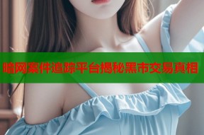暗网案件追踪平台揭秘黑市交易真相