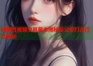 暗网性视频交易黑市揭秘及公安打击行动解析