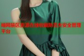 暗网禁区资源在线收藏防丢失安全管理平台