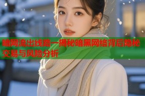 暗网流出线路一揭秘暗黑网络背后隐秘交易与风险分析