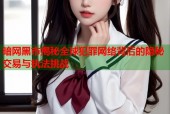 暗网黑市揭秘全球犯罪网络背后的隐秘交易与执法挑战