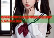 暗网黑市揭秘全球犯罪网络背后的隐秘交易与执法挑战