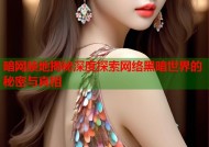 暗网禁地揭秘深度探索网络黑暗世界的秘密与真相