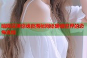 暗网深渊惊魂夜揭秘网络黑暗世界的恐怖真相