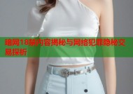 暗网18禁内容揭秘与网络犯罪隐秘交易探析
