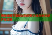 揭秘暗网下载地址的获取方法与安全防护全攻略