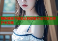 揭秘暗网下载地址的获取方法与安全防护全攻略