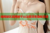 暗网禁区载揭秘平台深度探索隐秘资源