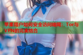 苹果用户如何安全访问暗网：Tor与VPN的完美结合