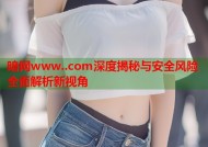 暗网www..com深度揭秘与安全风险全面解析新视角