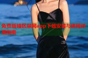 免费版暗区禁网app下载安装与使用详细指南