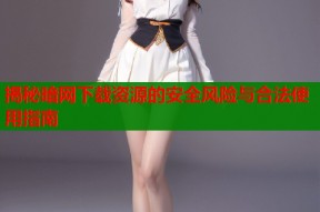 揭秘暗网下载资源的安全风险与合法使用指南