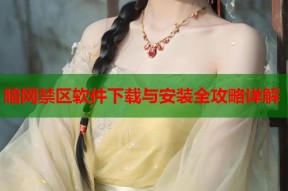 暗网禁区软件下载与安装全攻略详解