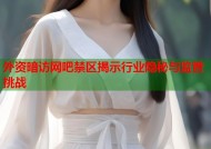 外资暗访网吧禁区揭示行业隐秘与监管挑战