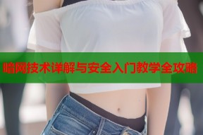 暗网技术详解与安全入门教学全攻略