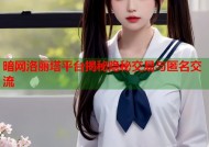 暗网洛丽塔平台揭秘隐秘交易与匿名交流
